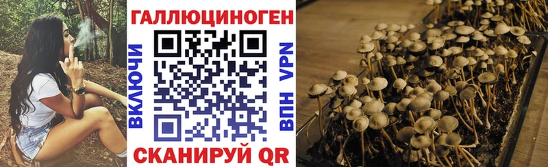 Галлюциногенные грибы прущие грибы  где продают   Наволоки 